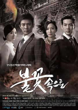 专业的seo推广网站要多少钱